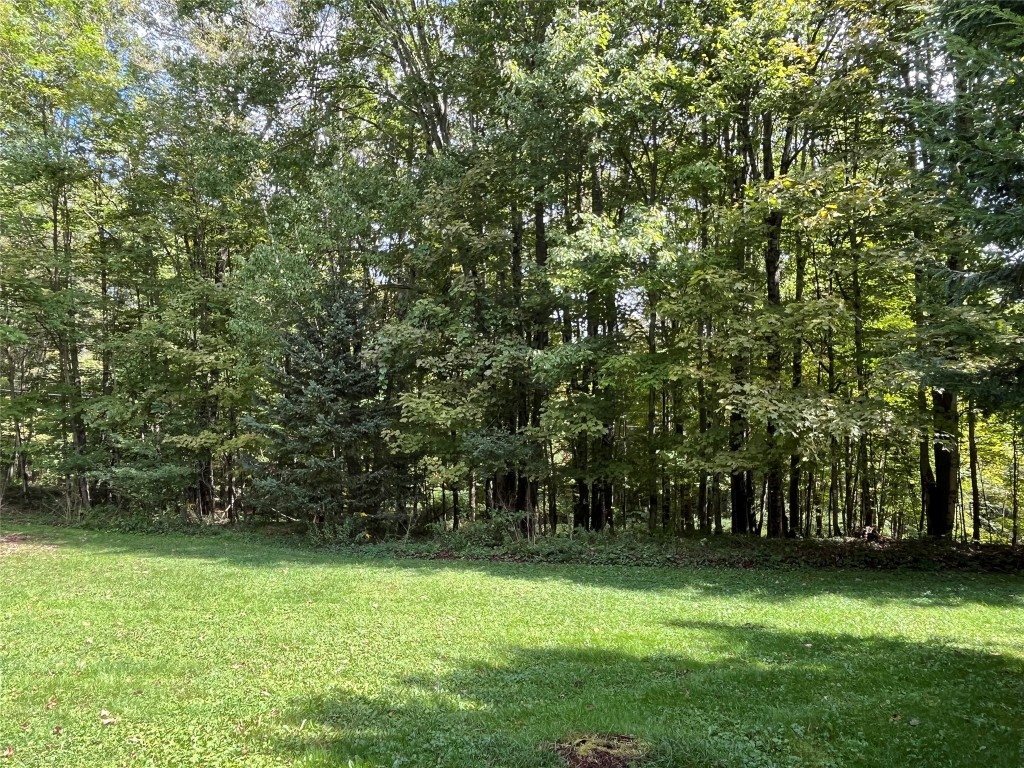 204 Nelson Frank Road Deposit, NY 13754 - Photo 19 of 20