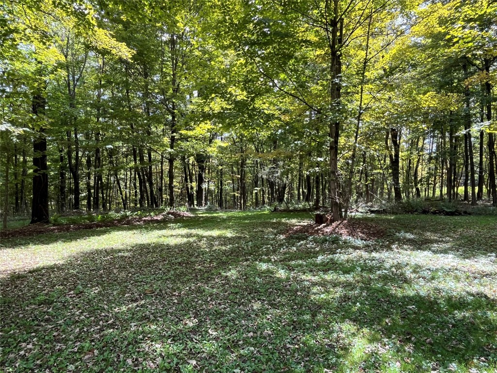 204 Nelson Frank Road Deposit, NY 13754 - Photo 20 of 20