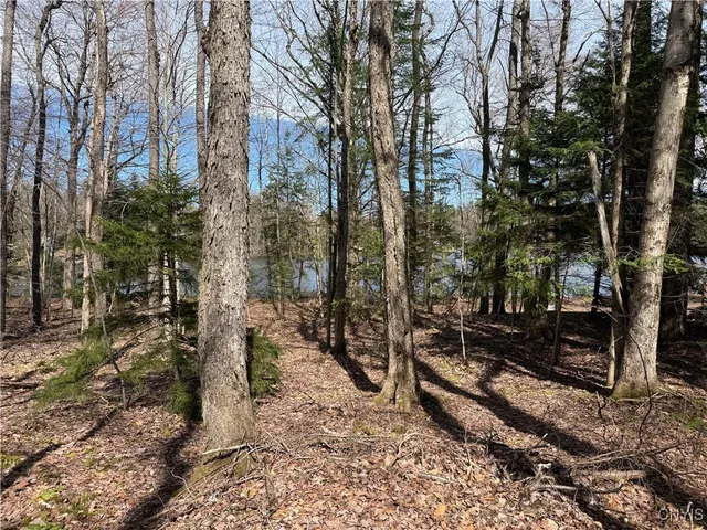 $59,000 | Lot 21 Deep Lake Road, Forestport, NY 13338