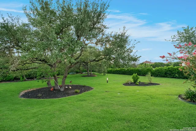 a front view of a house with a garden and plants