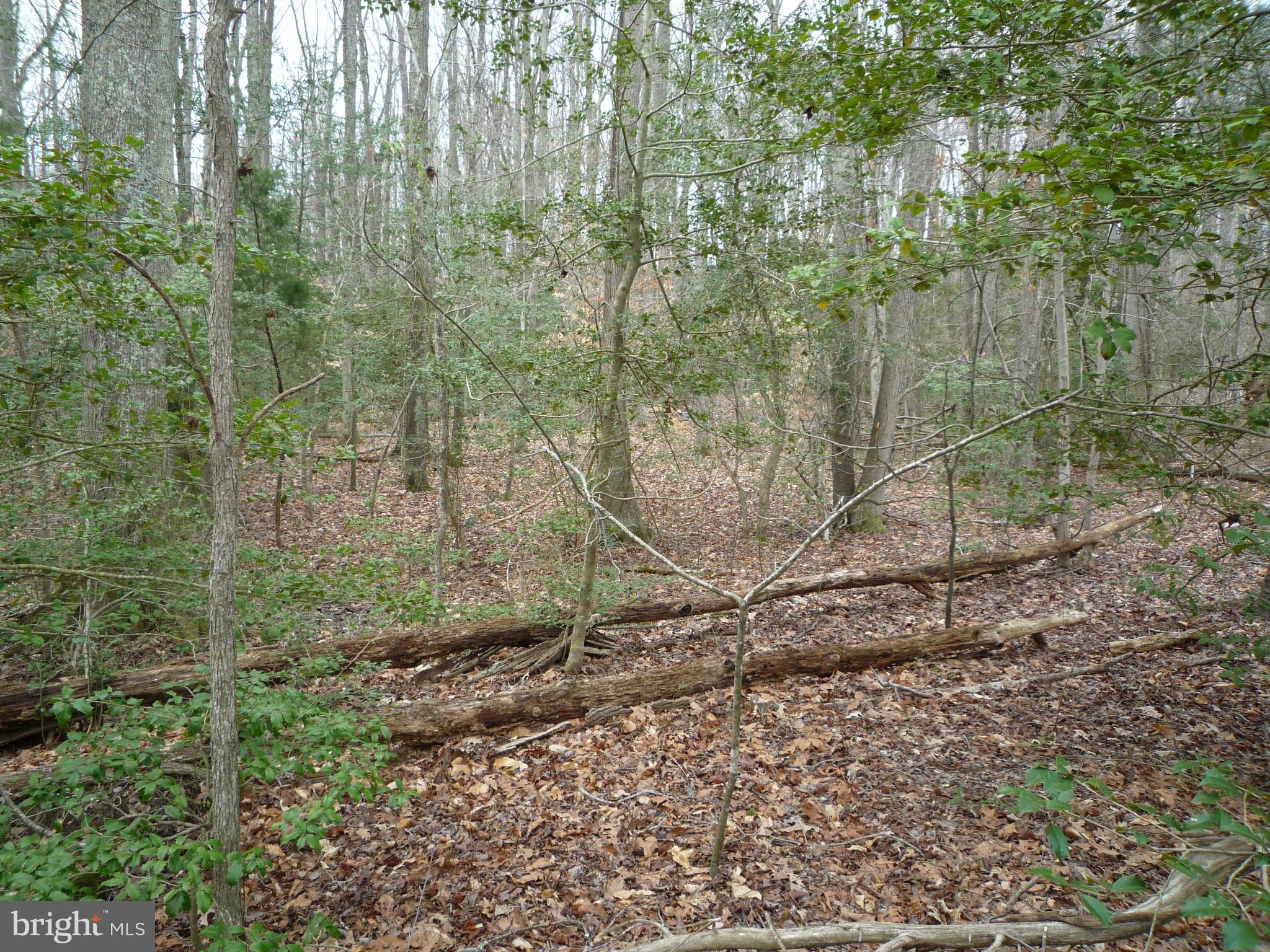 Brickhouse Road King George, VA 22485 - Photo 1 of 2 View
