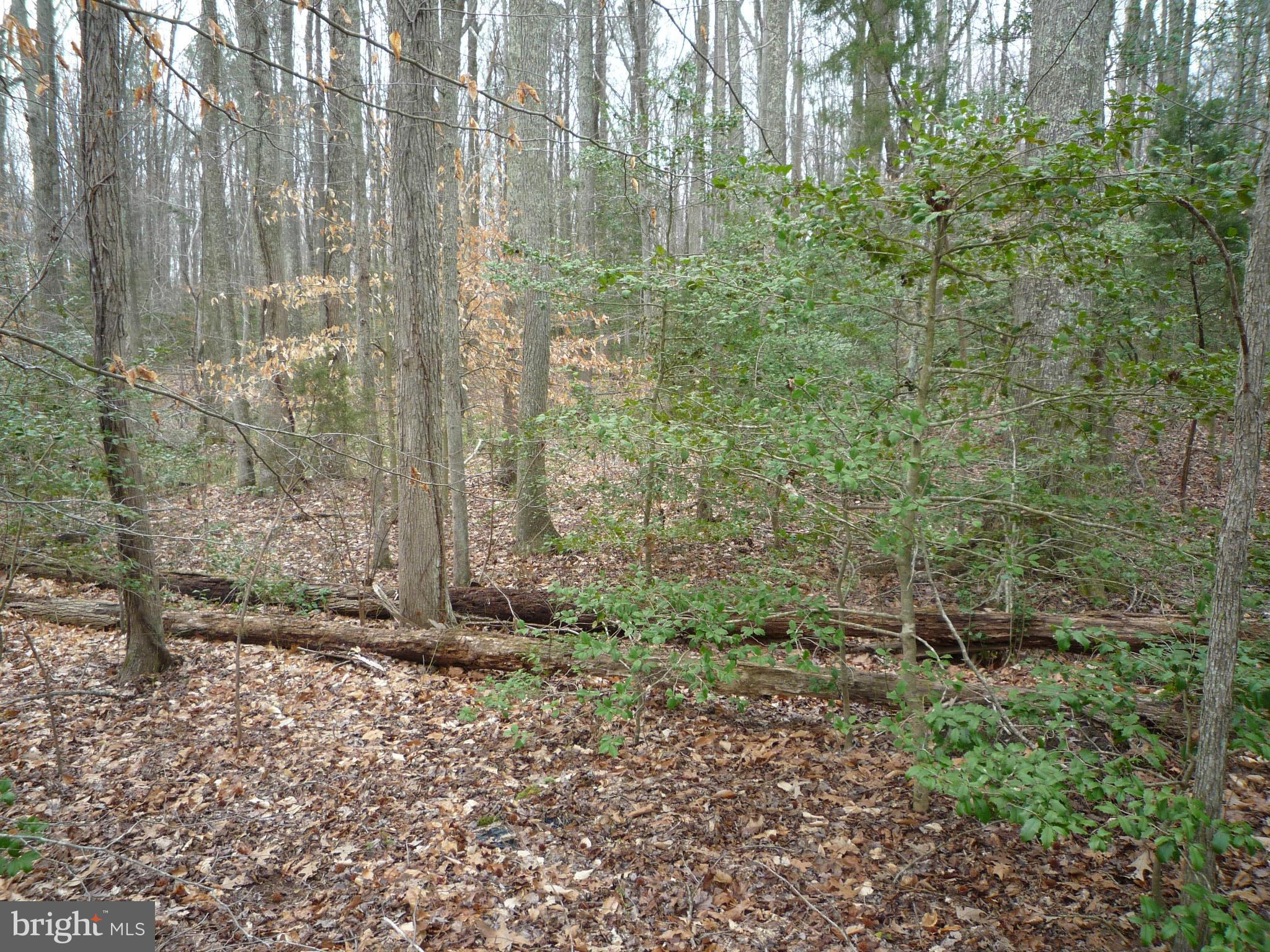 Brickhouse Road King George, VA 22485 - Photo 2 of 2 View