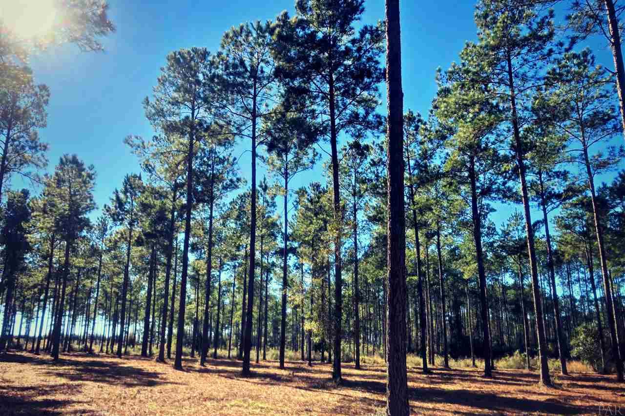 Southridge Road Milton, FL 32570 - Photo 11 of 16