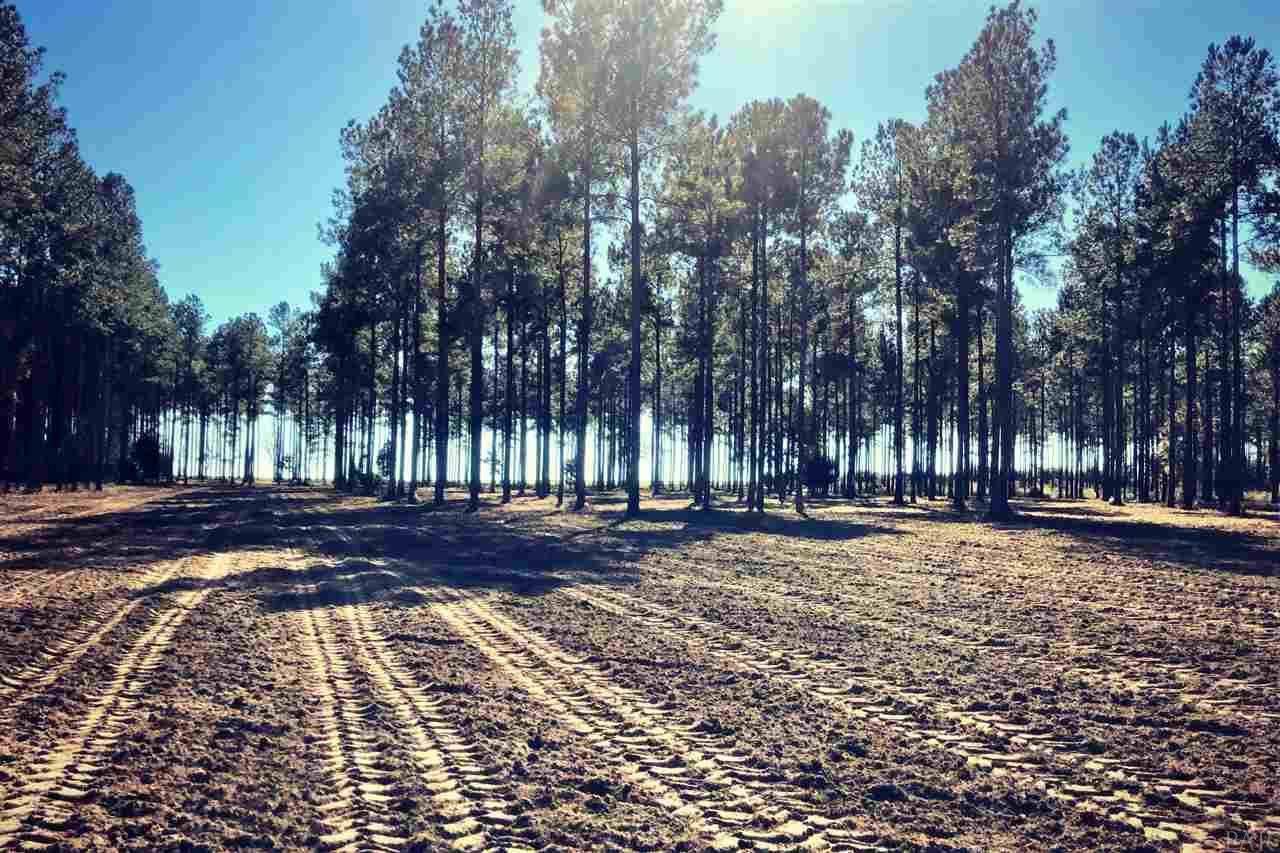 Southridge Road Milton, FL 32570 - Photo 3 of 16