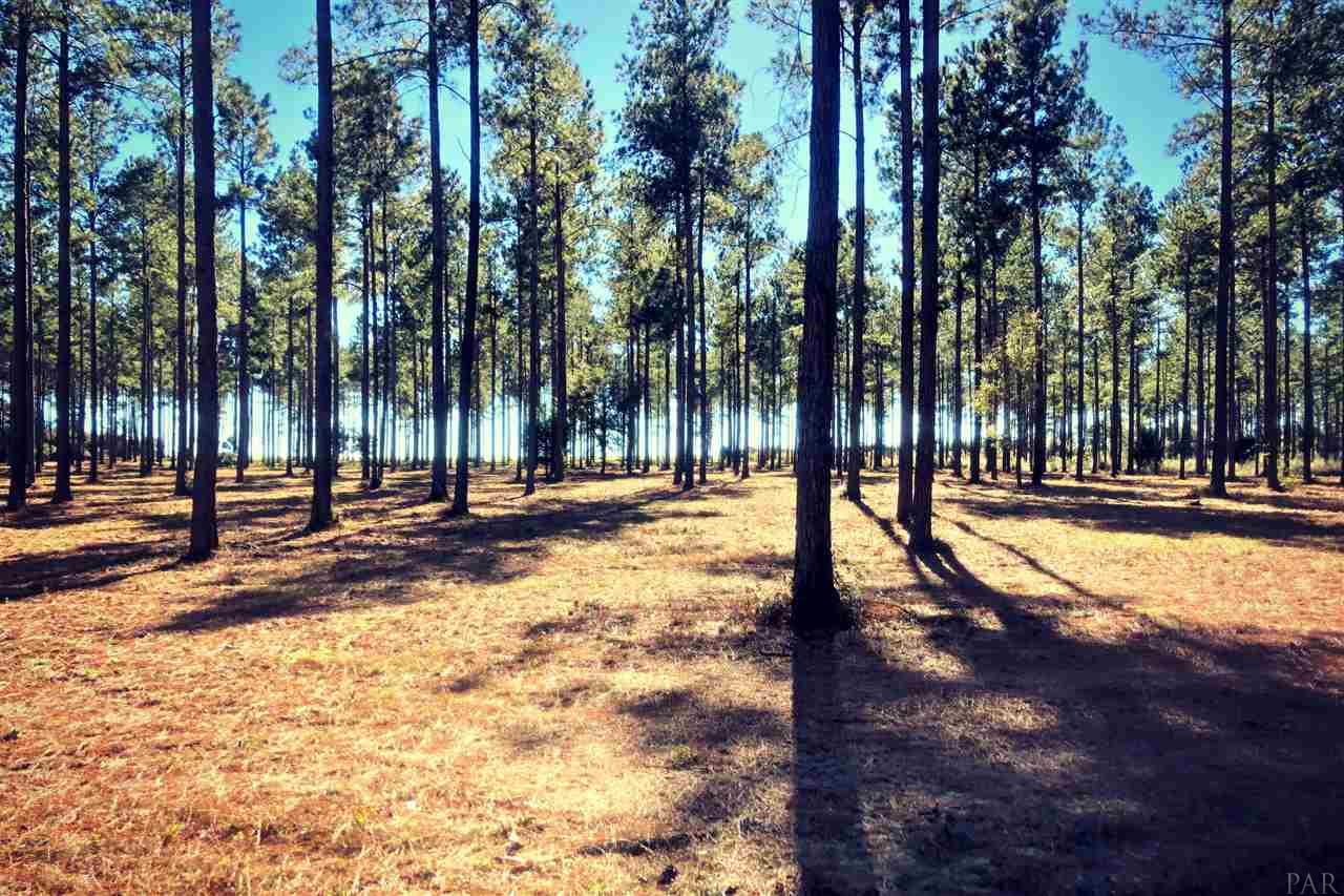 Southridge Road Milton, FL 32570 - Photo 4 of 16