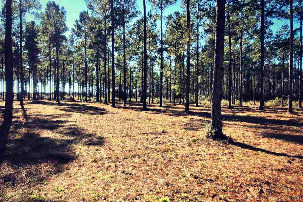 Southridge Road Milton, FL 32570 - Photo 5 of 16