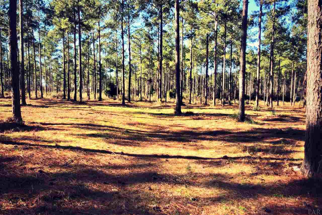 Southridge Road Milton, FL 32570 - Photo 6 of 16