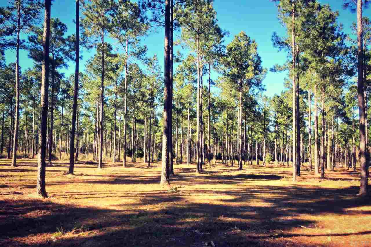 Southridge Road Milton, FL 32570 - Photo 7 of 16