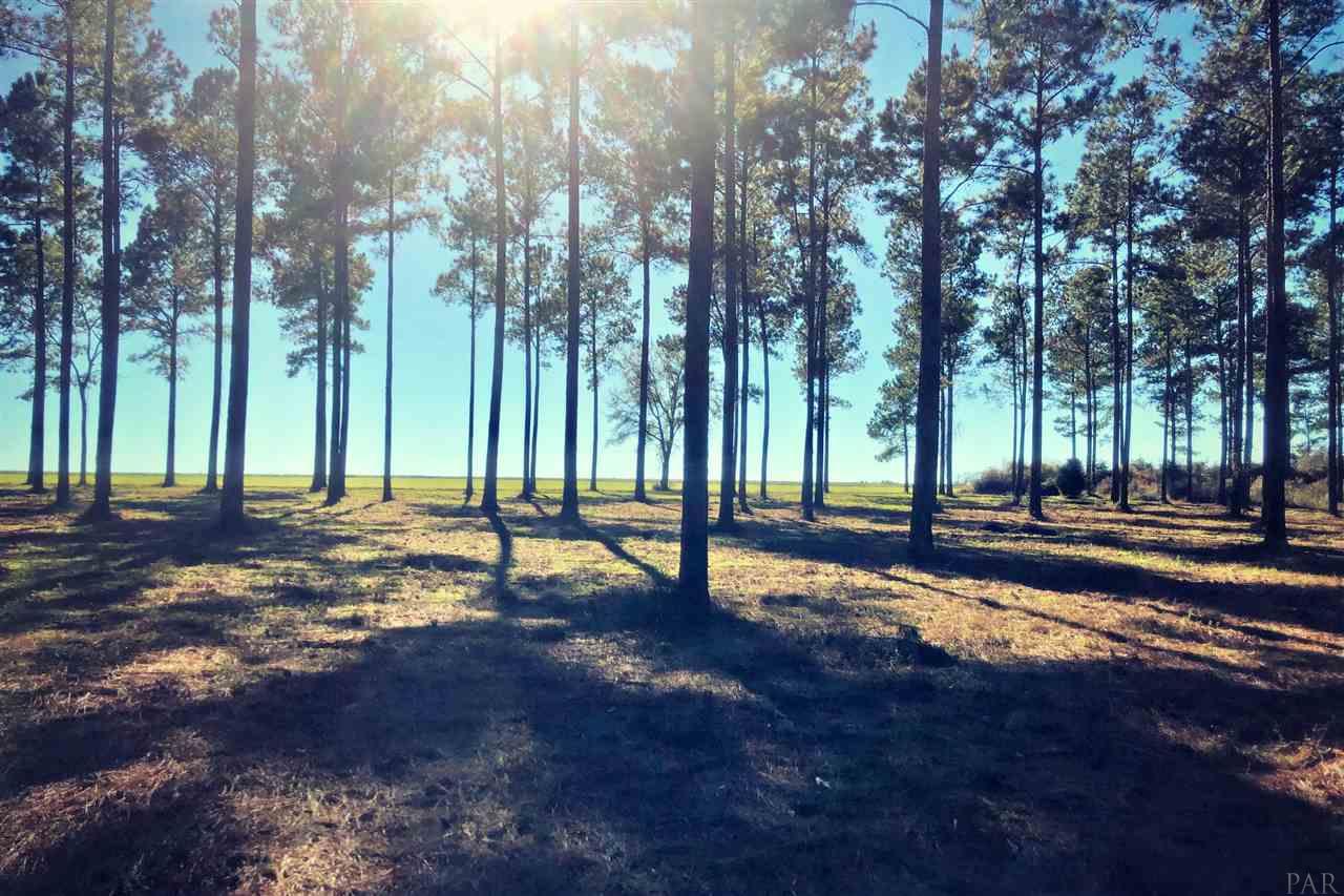 Southridge Road Milton, FL 32570 - Photo 8 of 16