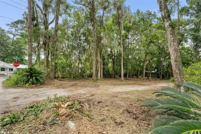 a view of outdoor space with trees