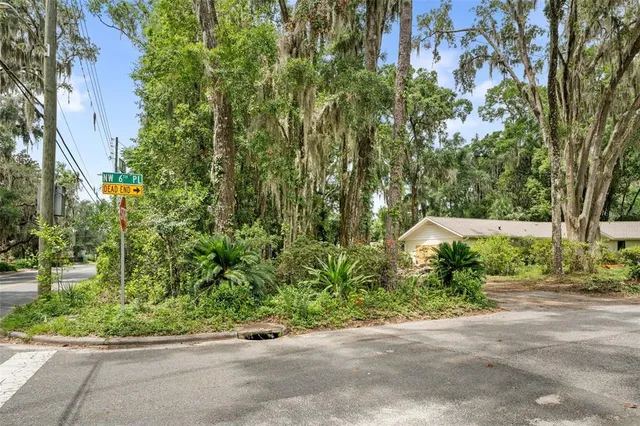 a view of a garden with pathway