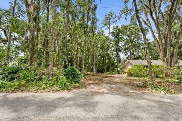 a view of a yard with plants and trees