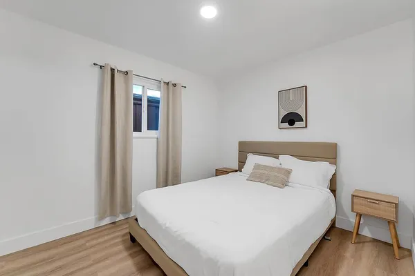 a view of backyard with a barn and a cactus tree