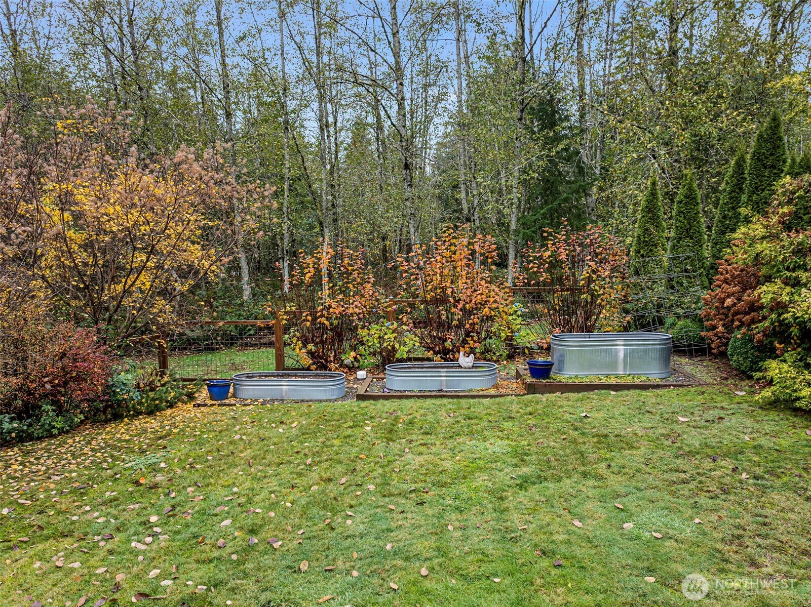 10574 Sidney Road Southwest Port Orchard, WA 98367 - Photo 30 of 37 a view of a yard with large trees