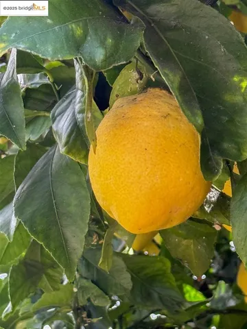 $899,000 | 5524 Shattuck Avenue, Oakland, CA 94609