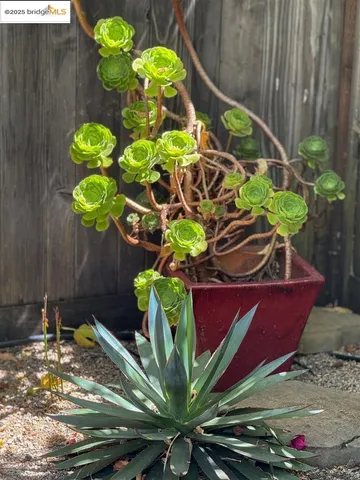 $899,000 | 5524 Shattuck Avenue, Oakland, CA 94609