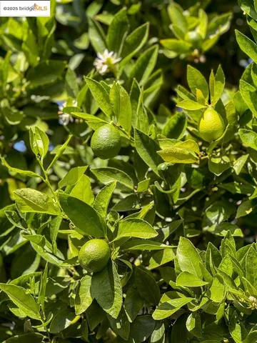 $899,000 | 5524 Shattuck Avenue, Oakland, CA 94609