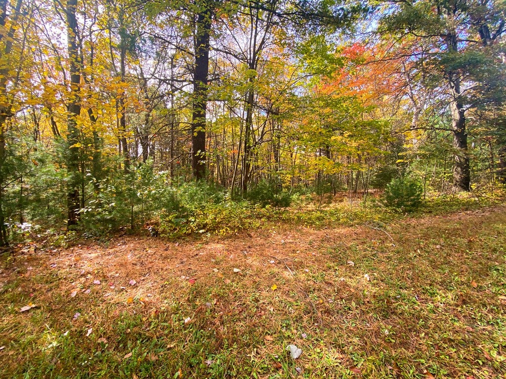 Lot #8 Longhorn Road Huntingdon, PA 16652 - Photo 7 of 14 Gallery Image 7