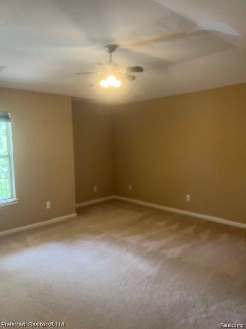 11758 Farmington Road Livonia, MI 48150 - Photo 8 of 13 Gallery Image 8
