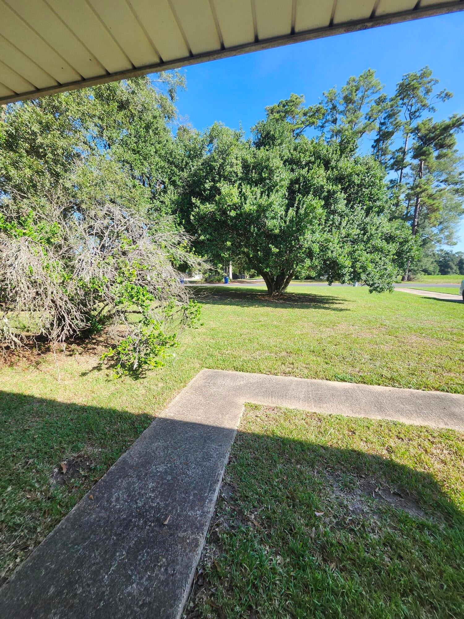 1564 Granberry Road Deridder, LA 70634 - Photo 11 of 15 Gallery Image 11