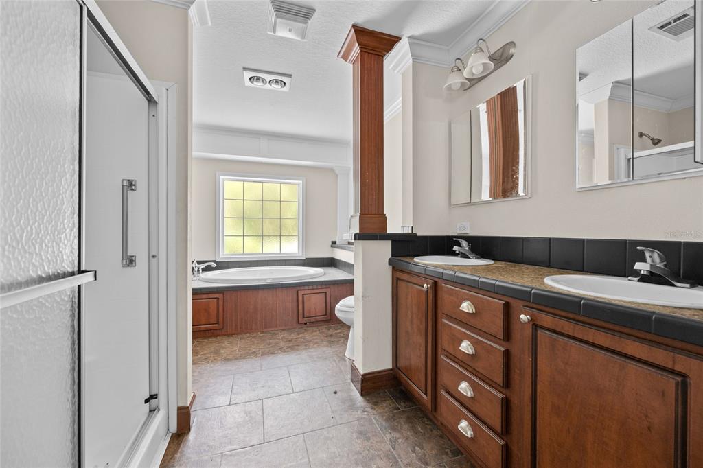 240 Swan Lake Road Melrose, FL 32666 - Photo 11 of 44 a spacious bathroom with a bathtub sink and mirror