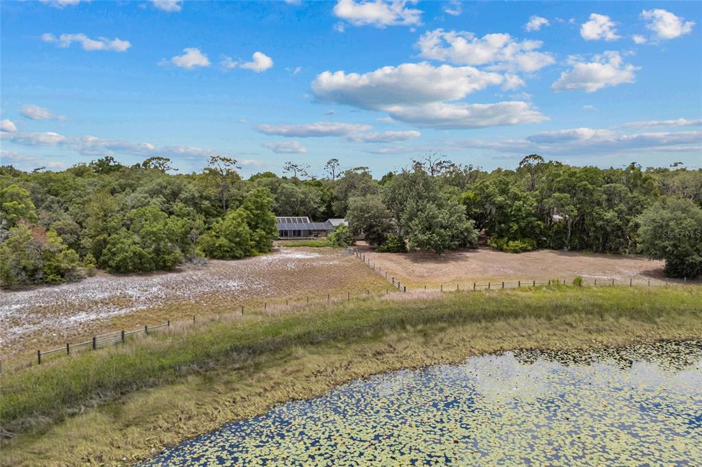 240 Swan Lake Road Melrose, FL 32666 - Photo 34 of 44 a view of a yard with a tree