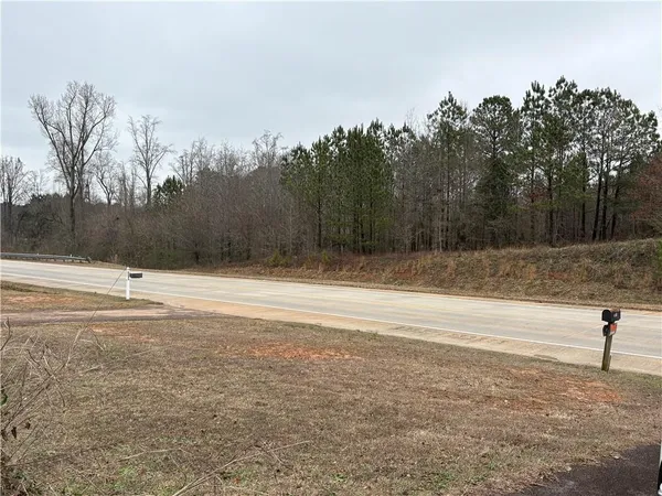 a view of a forest filled with trees