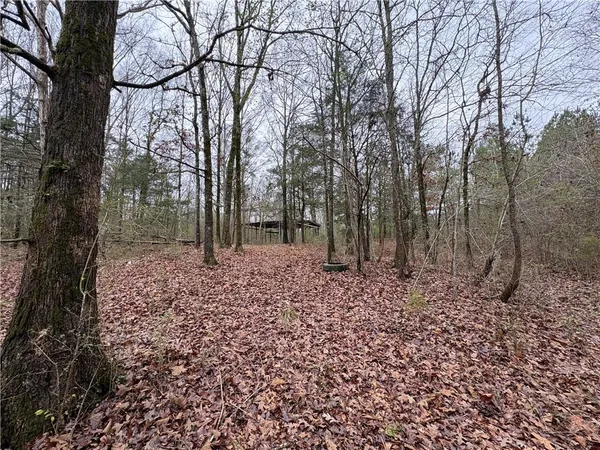 a view of a yard with large trees