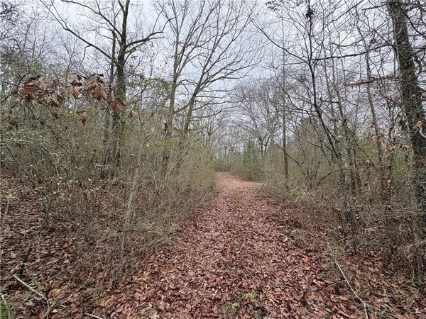 a view of a backyard of a house