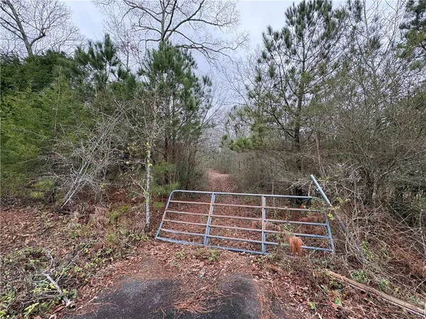 a view of a yard with trees