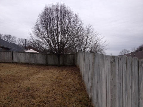 7647 Cotton Patch Road Corryton, TN 37721 - Photo 18 of 23 6