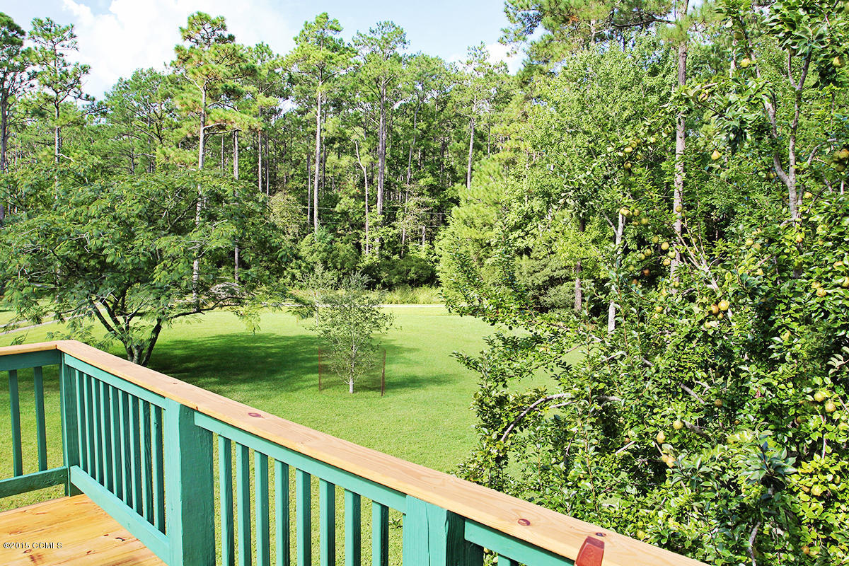192 West Back Creek Road Beaufort, NC 28516 - Photo 6 of 42 pear tree