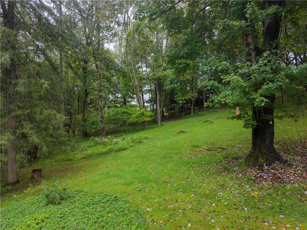 394 Irwin Road Gibsonia, PA 15044 - Photo 33 of 37 Gallery Image 33