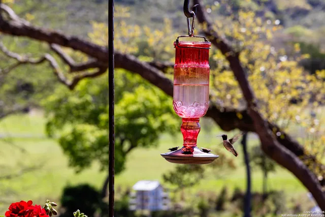 $8,500,000 | 4198 Bear Springs Road, Pipe Creek, TX 78063