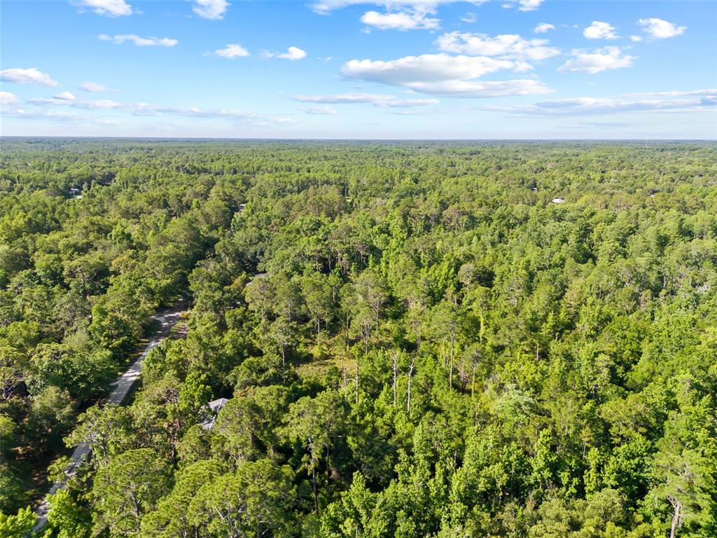 0 Dothan Street New Port Richey, FL 34654 - Photo 16 of 26