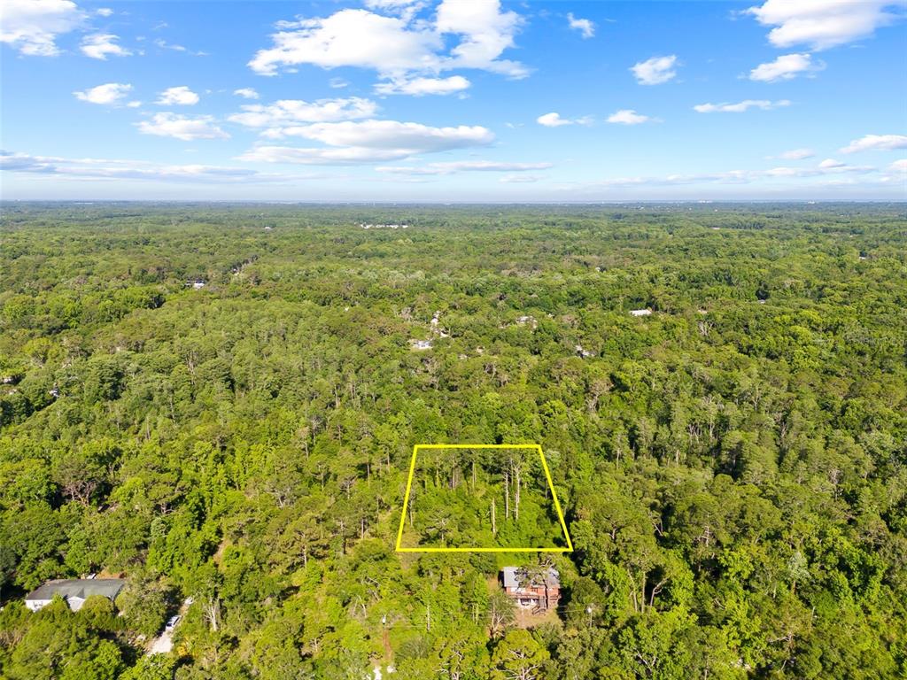 0 Dothan Street New Port Richey, FL 34654 - Photo 17 of 26