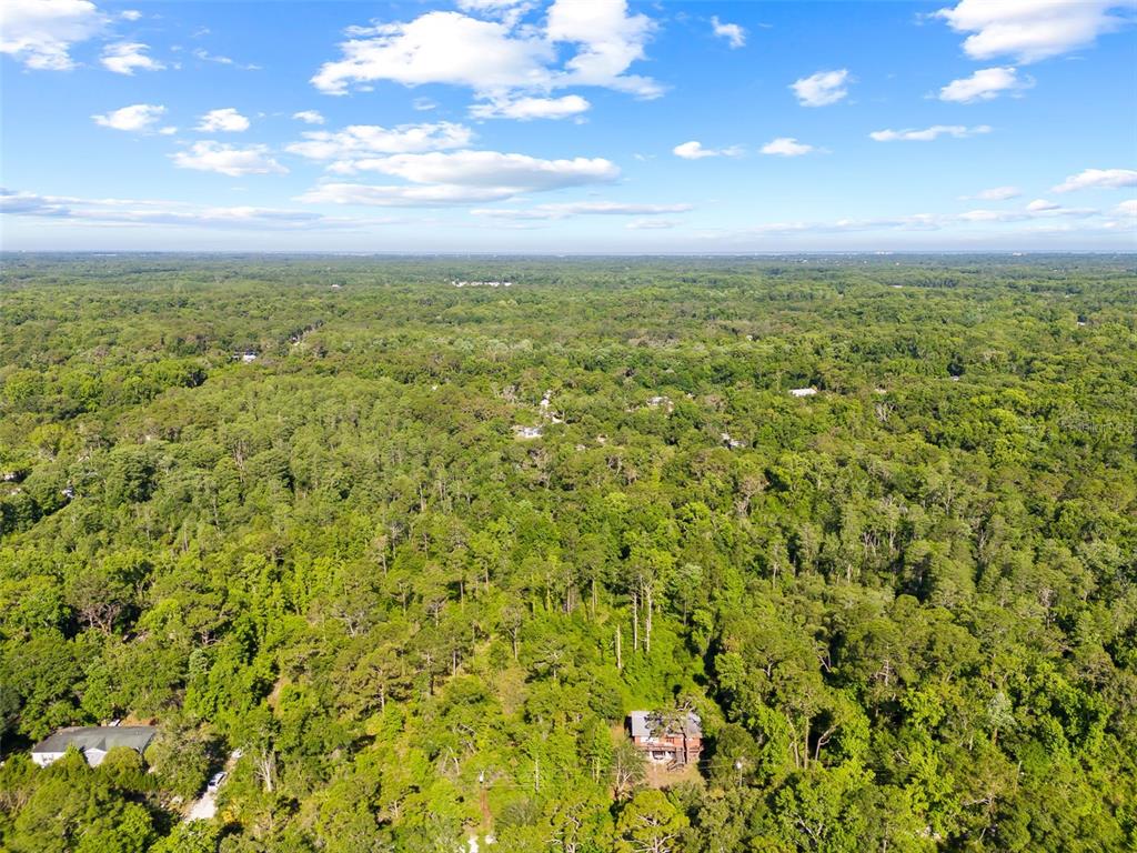 0 Dothan Street New Port Richey, FL 34654 - Photo 18 of 26