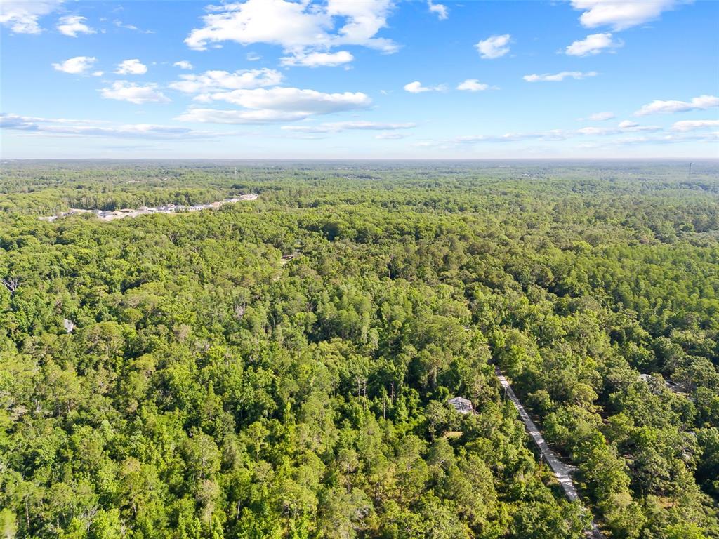 0 Dothan Street New Port Richey, FL 34654 - Photo 20 of 26