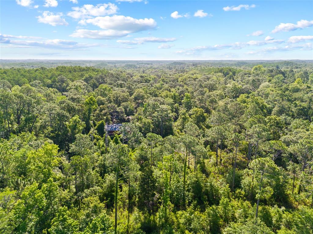 0 Dothan Street New Port Richey, FL 34654 - Photo 2 of 26