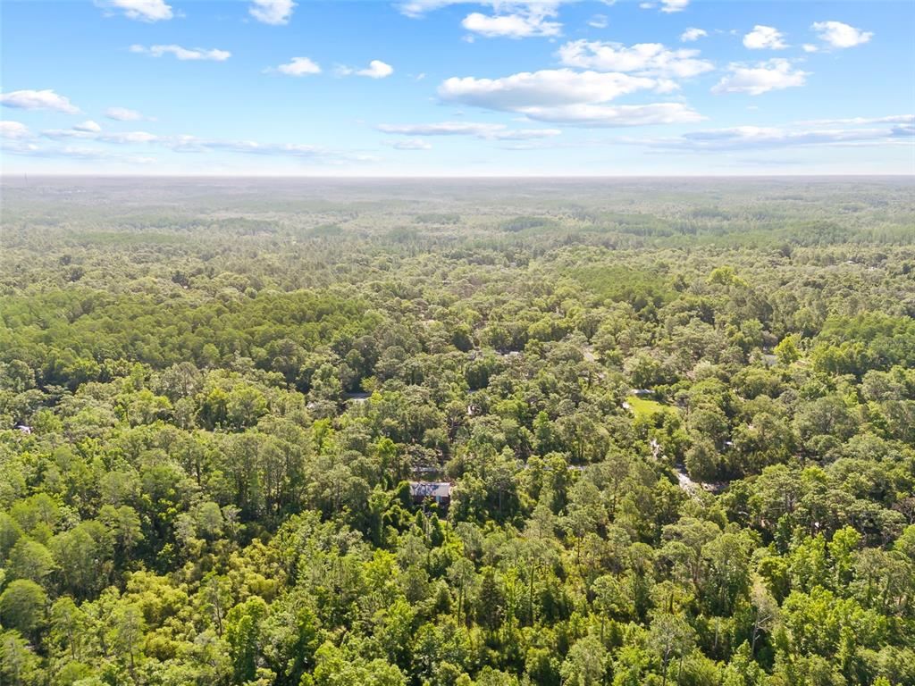 0 Dothan Street New Port Richey, FL 34654 - Photo 22 of 26