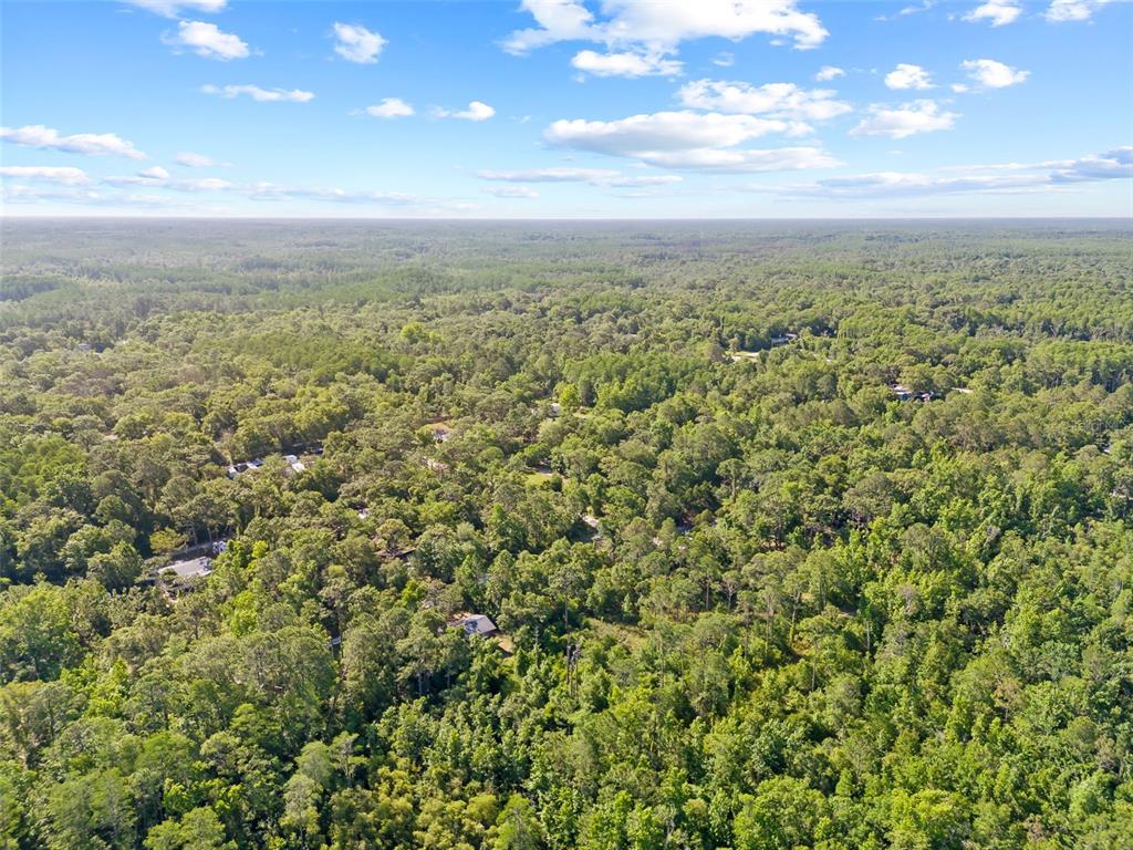 0 Dothan Street New Port Richey, FL 34654 - Photo 24 of 26