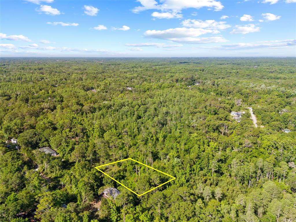 0 Dothan Street New Port Richey, FL 34654 - Photo 25 of 26