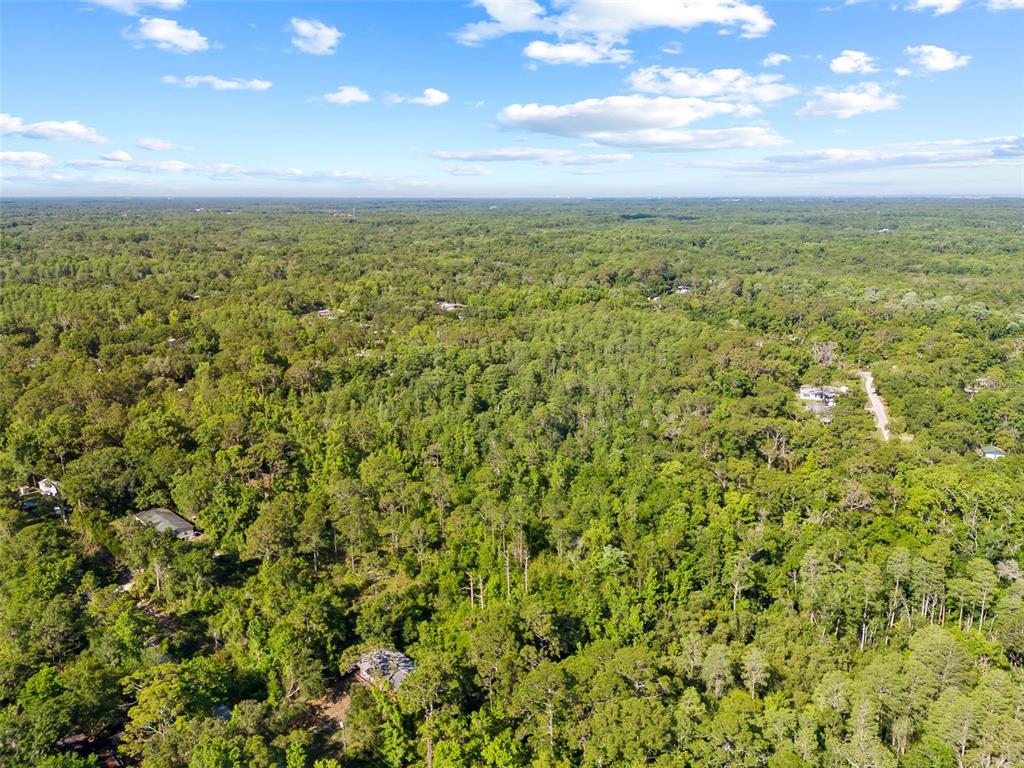 0 Dothan Street New Port Richey, FL 34654 - Photo 26 of 26