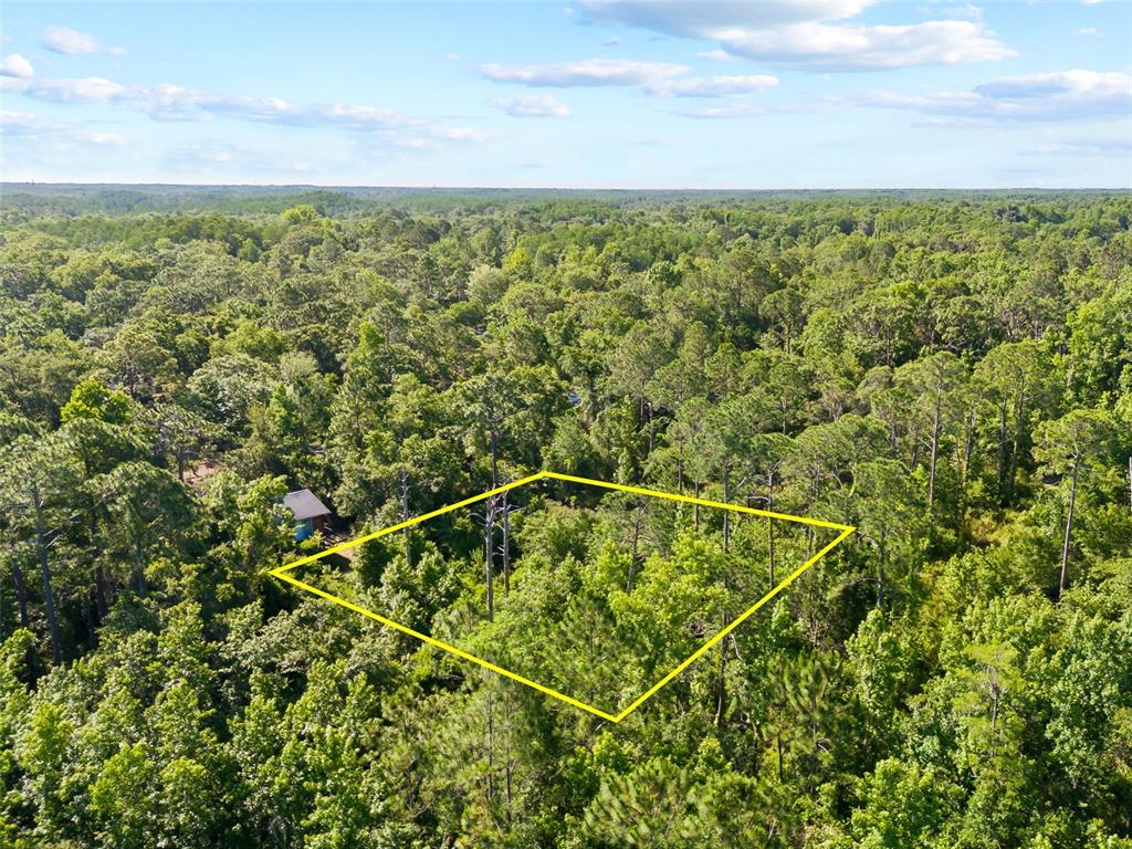 0 Dothan Street New Port Richey, FL 34654 - Photo 5 of 26