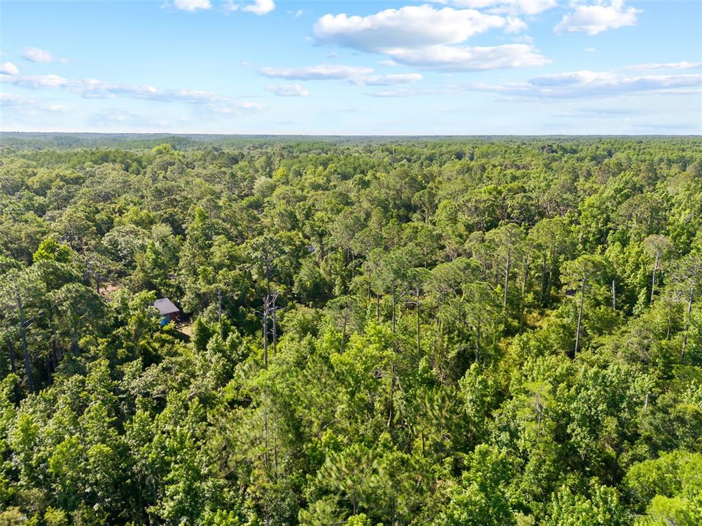 0 Dothan Street New Port Richey, FL 34654 - Photo 6 of 26