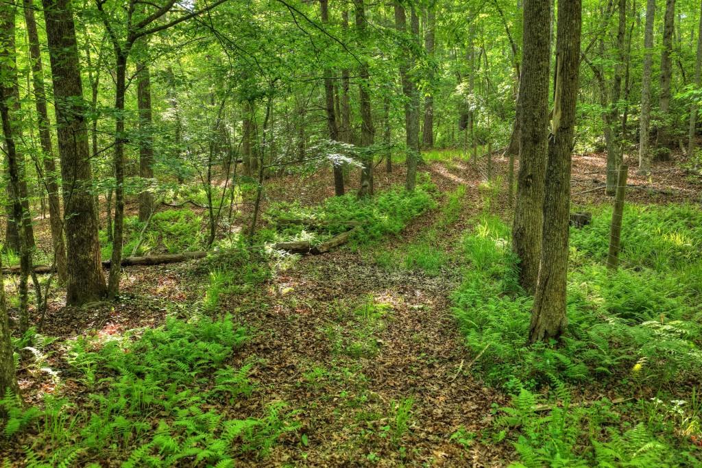 8.52 Ac Mcnelley Road Morganton, GA 30560 - Photo 40 of 47