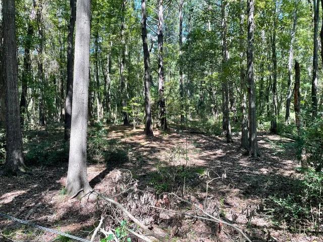 $399,900 | 6444 St Anthony Drive, Hollywood, SC 29449