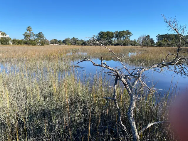 $399,900 | 6444 St Anthony Drive, Hollywood, SC 29449