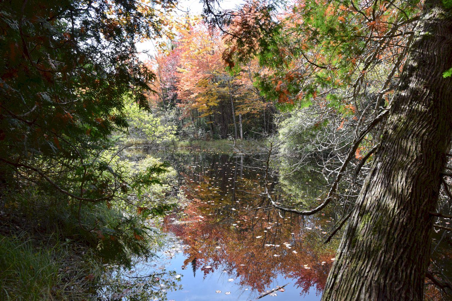 5a Halls Bridge Road Canaan, ME 04924 - Photo 30 of 44 DSC_0009 a