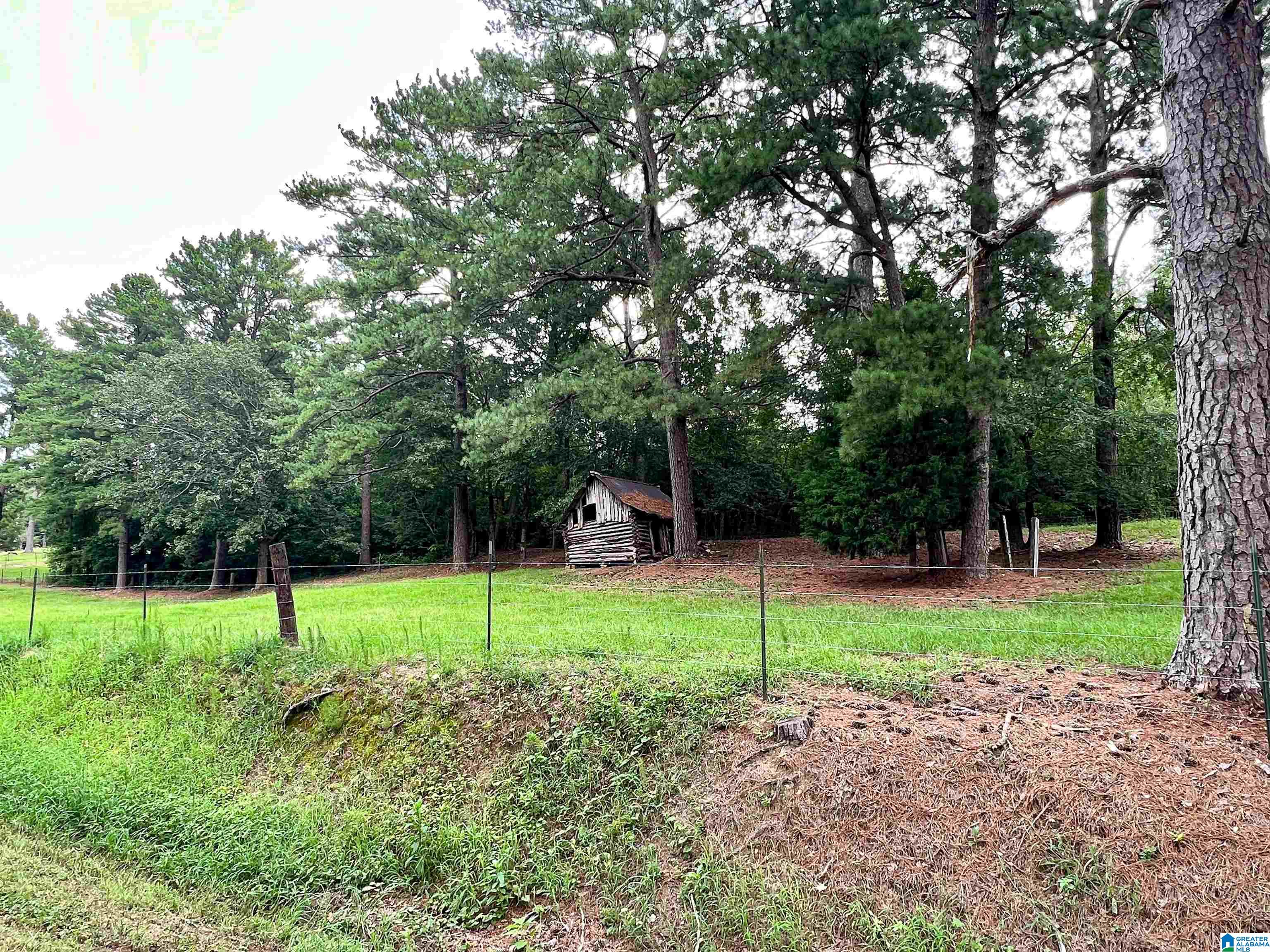7030 Howells Cove Road Talladega, AL 35160 - Photo 35 of 48